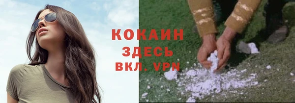мяу мяу мука Новозыбков